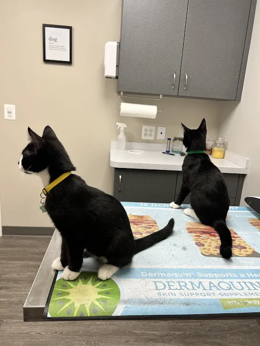 Hampstead Veterinary Center LLC 12