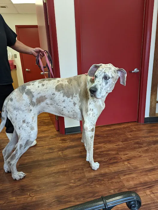 North Carroll Veterinary Services 12
