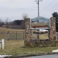 North Carroll Veterinary Services ico