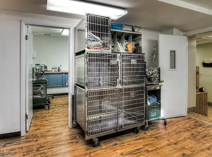 Abbey Animal Hospital 12