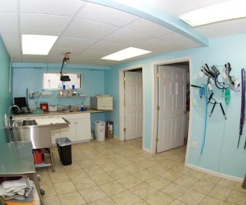 Perry Hall Animal Hospital