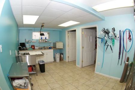 Perry Hall Animal Hospital