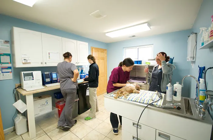 Perry Hall Animal Hospital 12