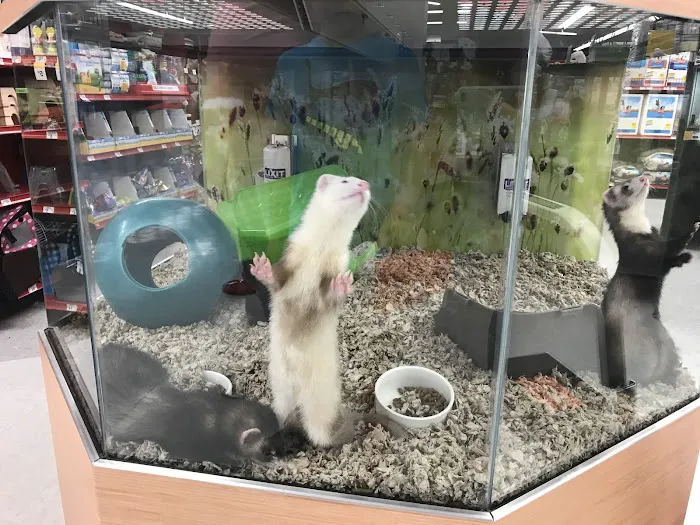 ShotVet @ PetSmart 12