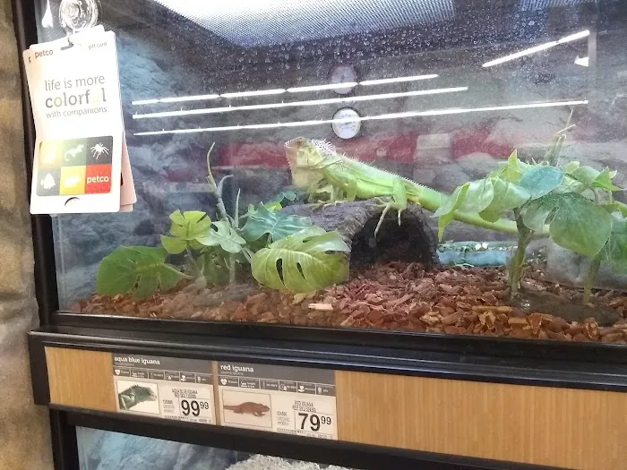 ShotVet @ PetSmart 12