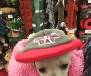 Petco