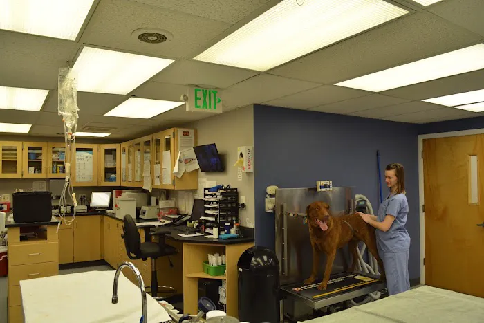Essex Middle River Veterinary Center 12