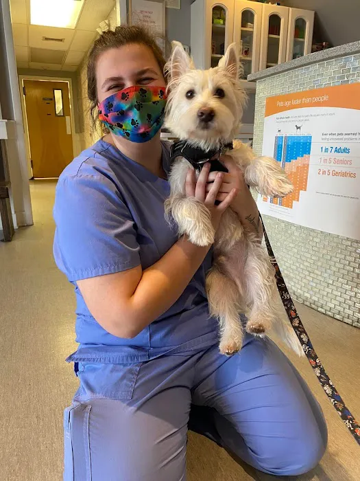 Essex Middle River Veterinary Center 12