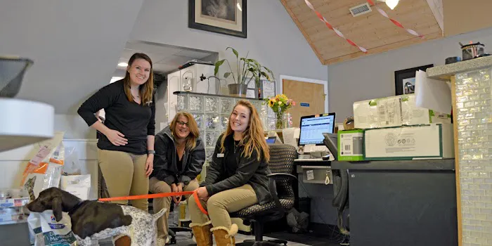 Essex Middle River Veterinary Center 12