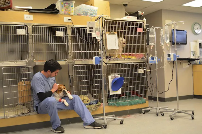 Essex Middle River Veterinary Center 12