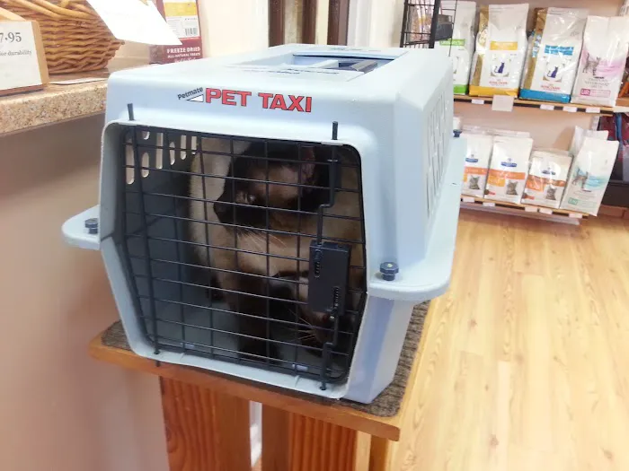 Frederick Cat Vet 12