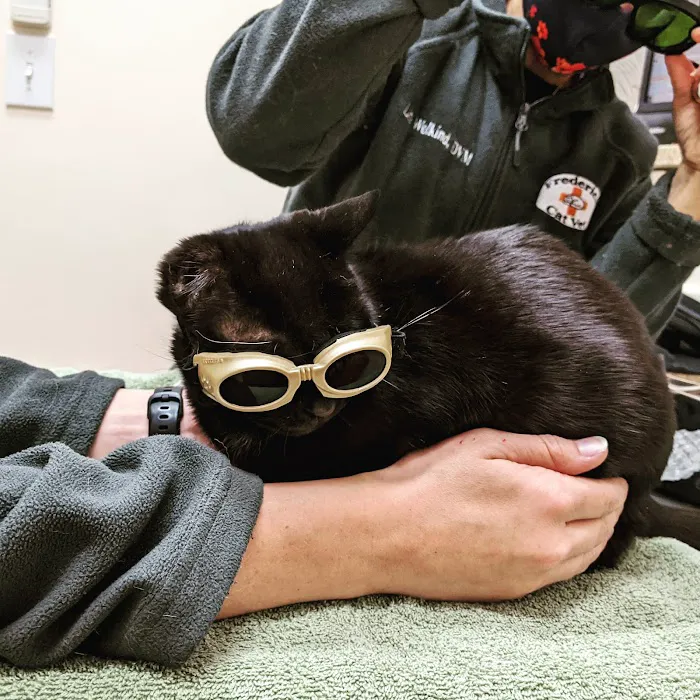 Frederick Cat Vet 12
