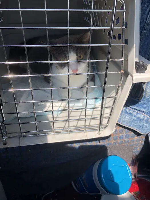 Frederick Cat Vet 12