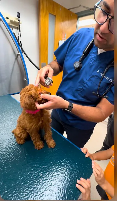Frederick Veterinary Center 12