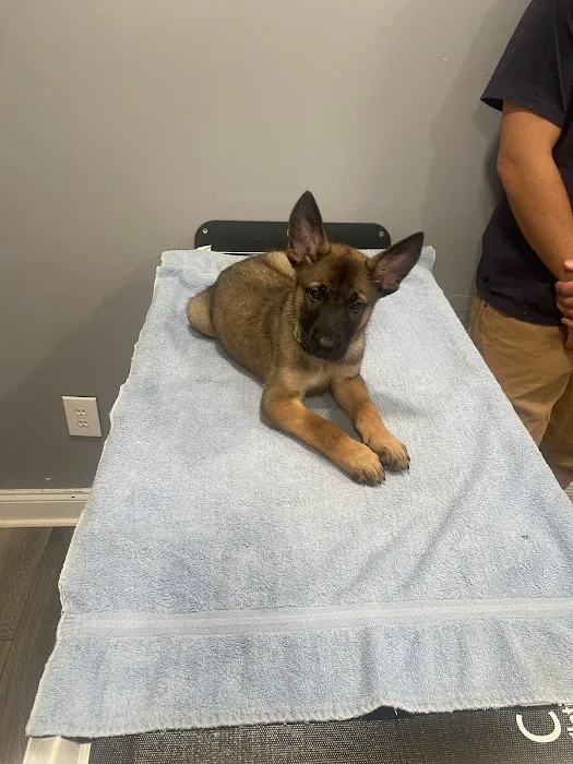 Frederick Veterinary Center 12