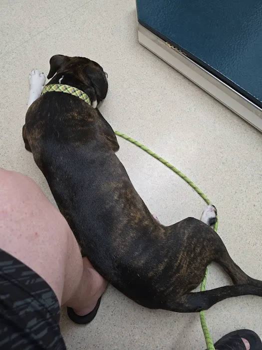 Frederick Veterinary Center 12
