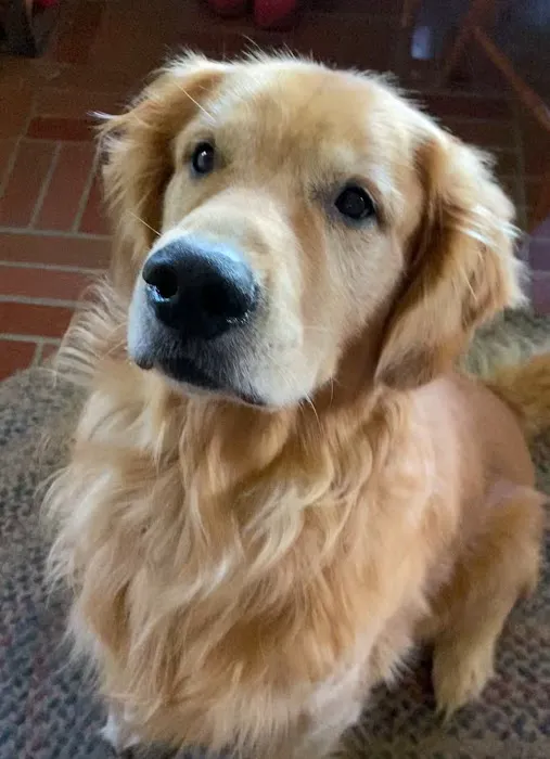 Frederick Veterinary Center 12
