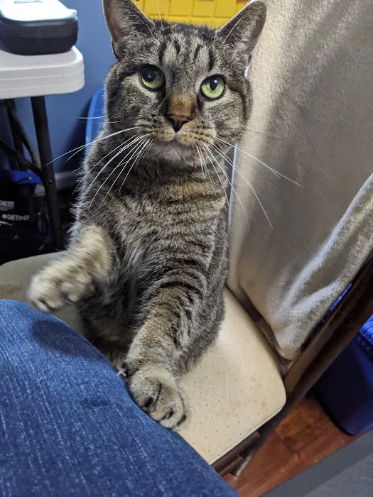 Frederick Veterinary Center 12