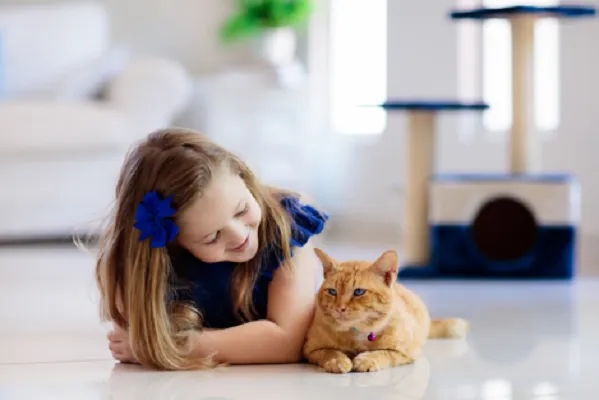 CVCA Cardiac Care For Pets 12