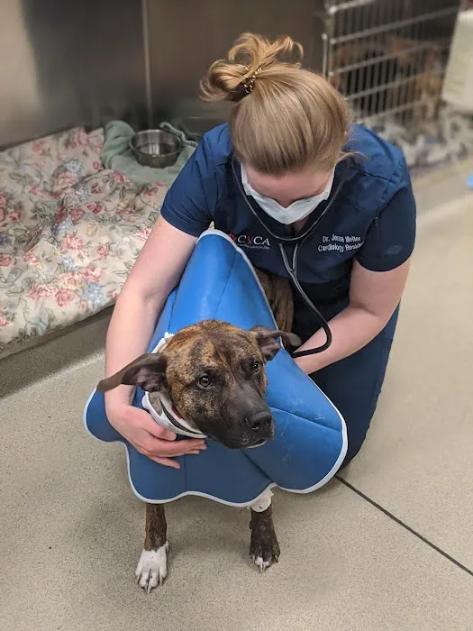 CVCA Cardiac Care For Pets 12