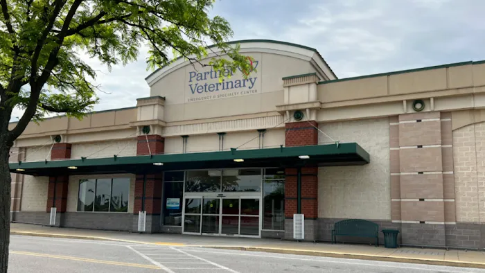 CVCA Cardiac Care For Pets 12