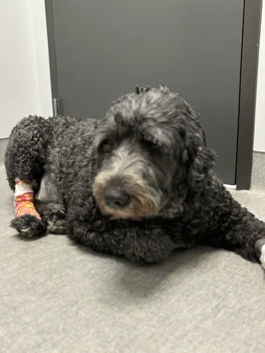 Partner Veterinary Emergency & Specialty Center - Frederick 12