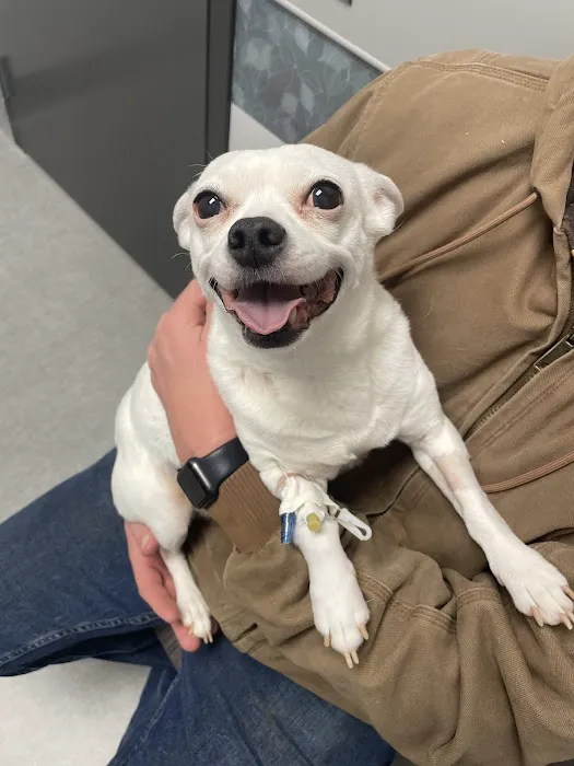 Partner Veterinary Emergency & Specialty Center - Frederick 12