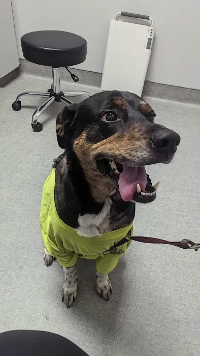 Partner Veterinary Emergency & Specialty Center - Frederick 12