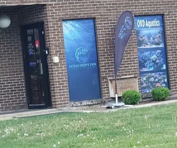 Ocean Reef's Den (ORD) Aquatics
