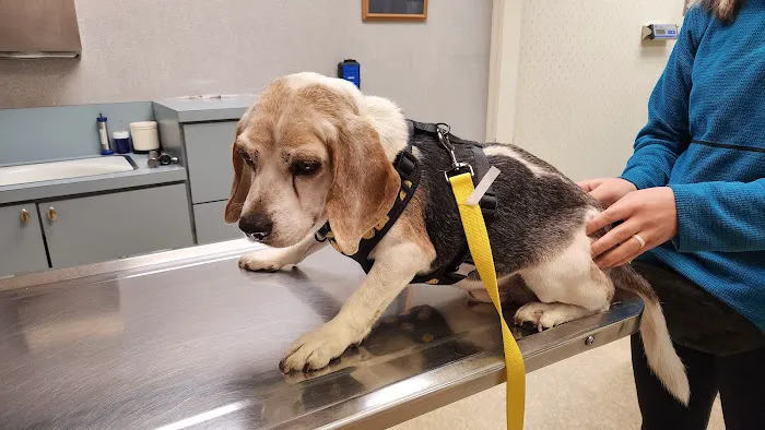 McClellan Veterinary Clinic 12
