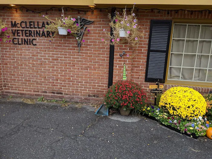 McClellan Veterinary Clinic 12
