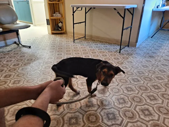 McClellan Veterinary Clinic 12