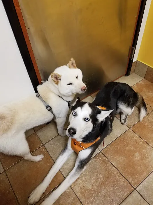 Banfield Pet Hospital 7