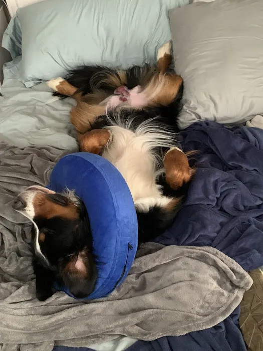 Banfield Pet Hospital 3