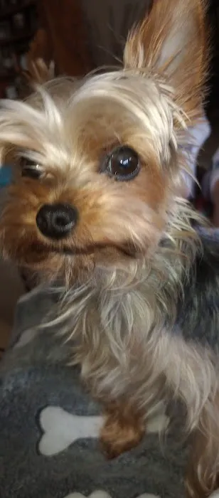 Banfield Pet Hospital 5