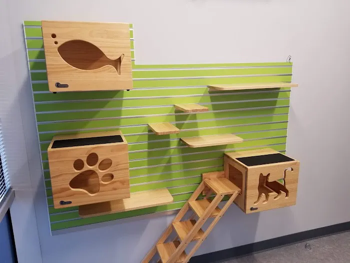 Kingsbrook Animal Hospital 12