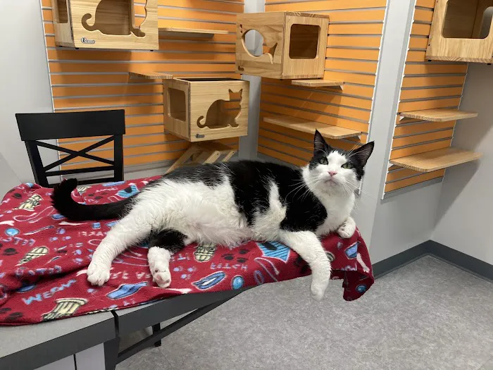 Kingsbrook Animal Hospital 12