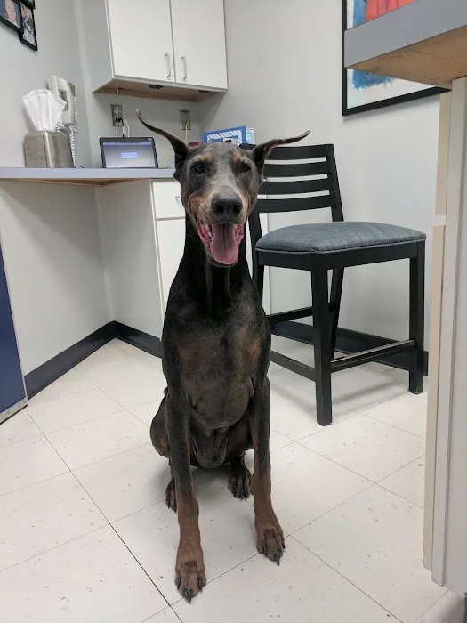 Kingsbrook Animal Hospital 12