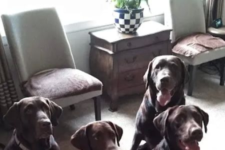 Walkersville Veterinary Clinic