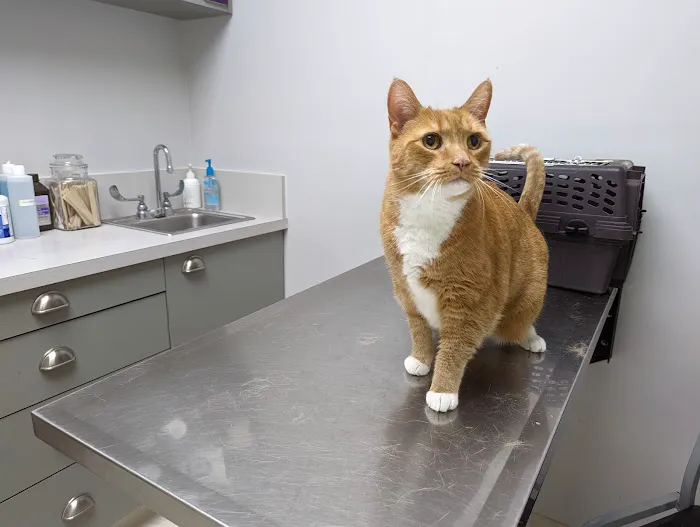 Walkersville Veterinary Clinic 12