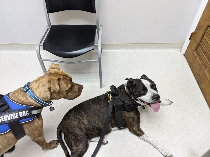 Walkersville Veterinary Clinic 12