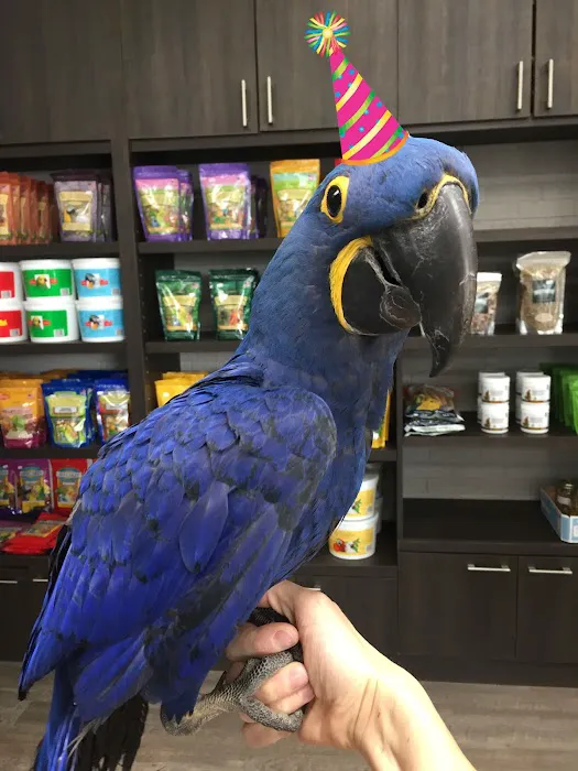 Parrot Stars Parties and Education Center 1