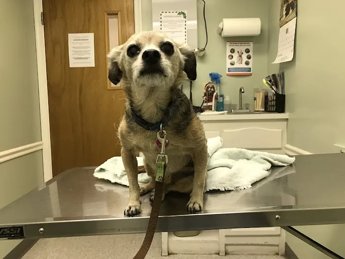 Heritage Animal Hospital 12
