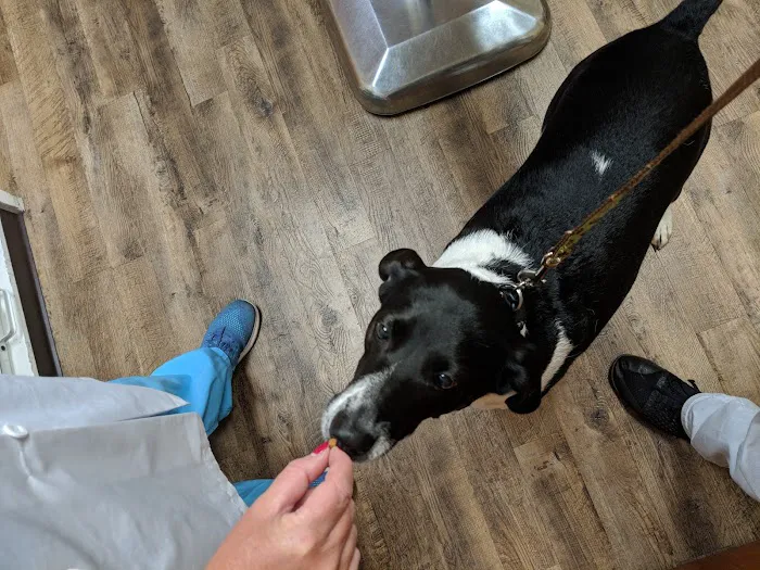 Heritage Animal Hospital 12