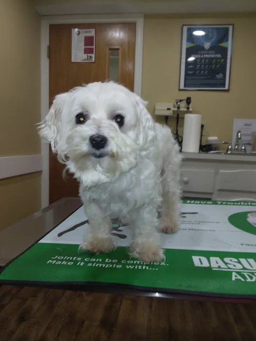 Heritage Animal Hospital 12