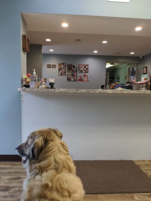 Heritage Animal Hospital 12