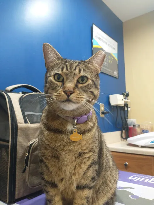 Heritage Animal Hospital 12