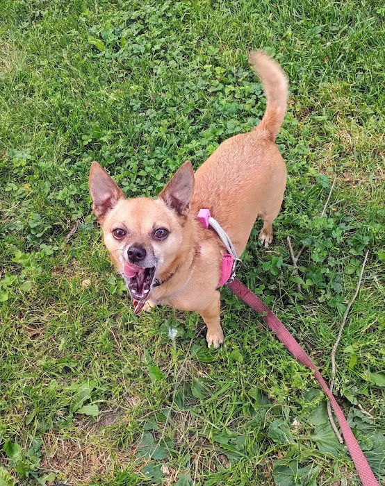 Maryland Mobile Veterinary Clinic, LLC 12