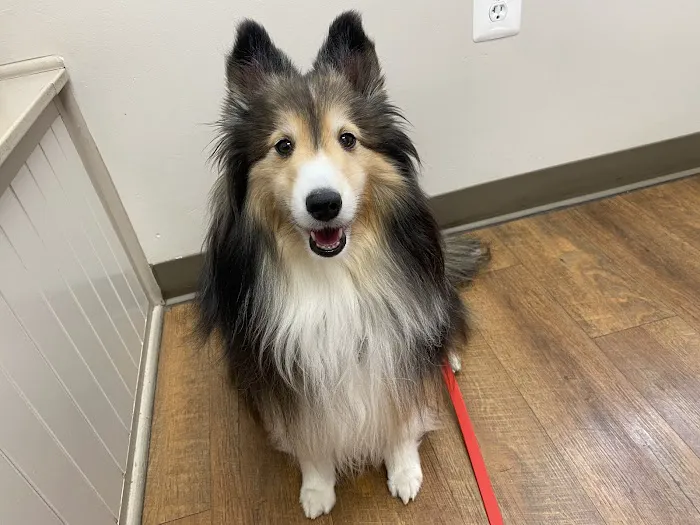 Maryland Mobile Veterinary Clinic, LLC 12