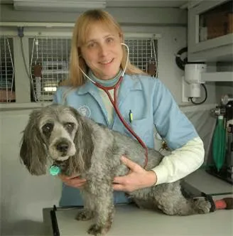 Convenient Care Mobile Veterinary 12
